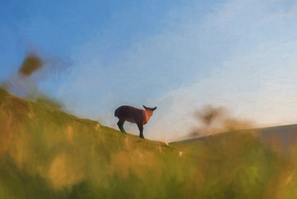 动物风景油画
