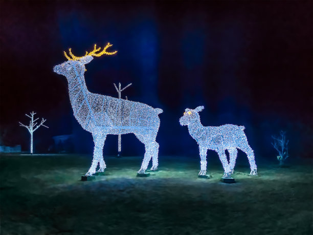 deer