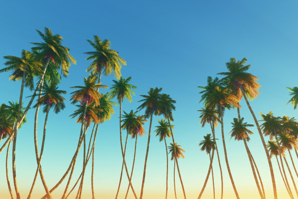 coconut