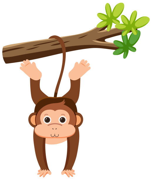 monkey