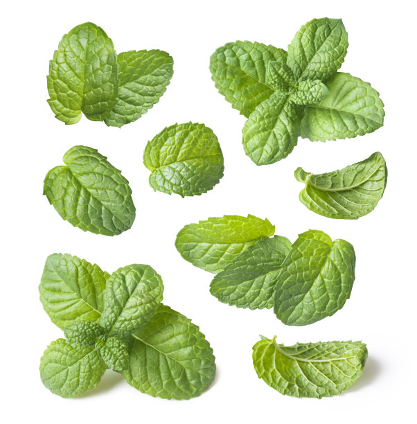 spearmint