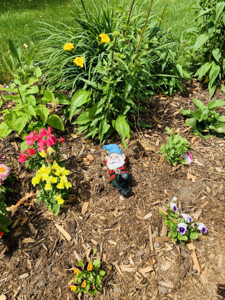 gnome