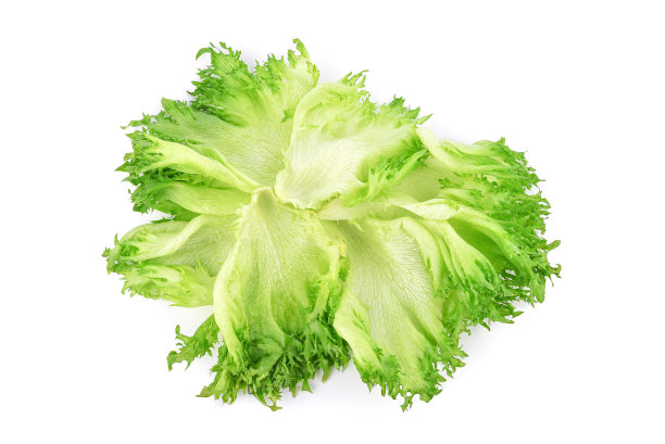 romaine