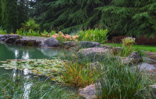 ponds
