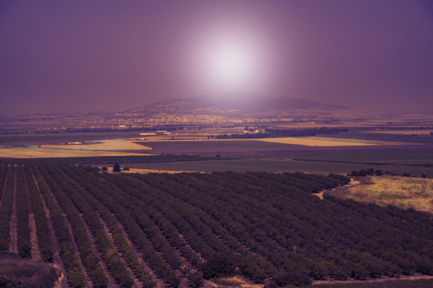 druze