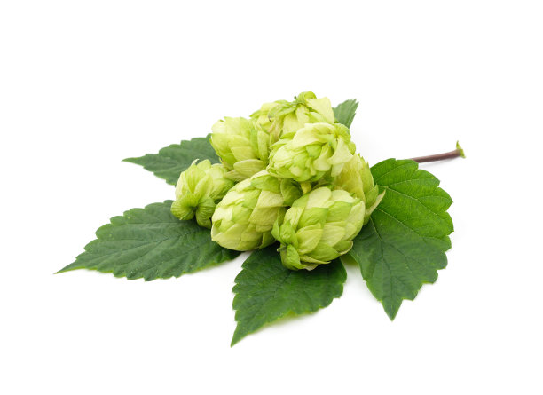 hop