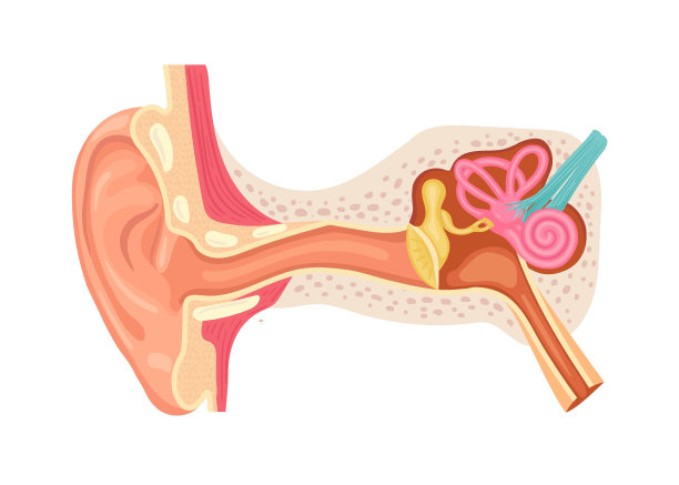 ear