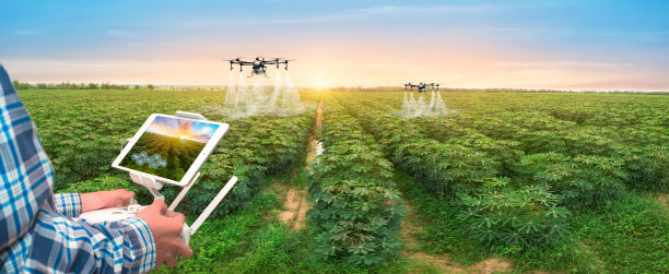 irrigation