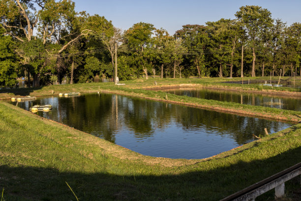 ponds
