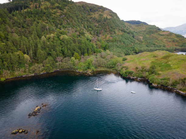 donan
