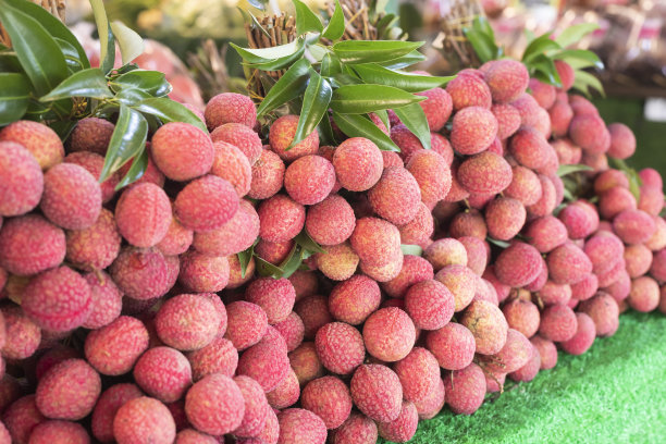 litchi