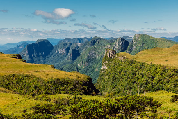 brasil