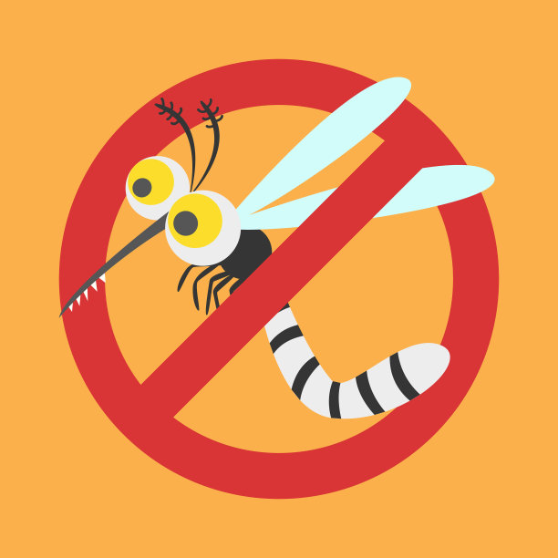 mosquito