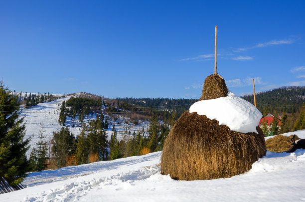 滑雪缆车,滑雪雪橇,干草
