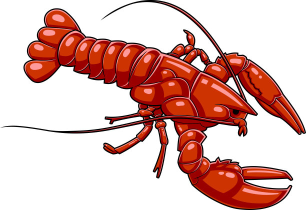crawdad