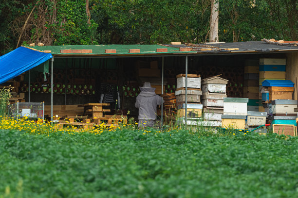 beekeeper