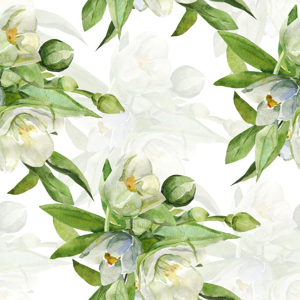 jasmine