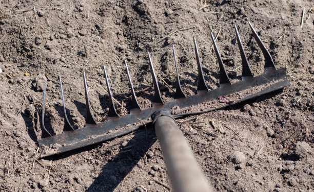 rake