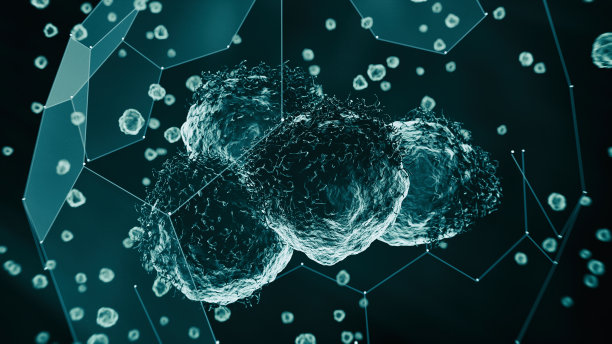cd4