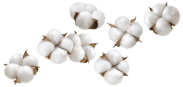 cotton