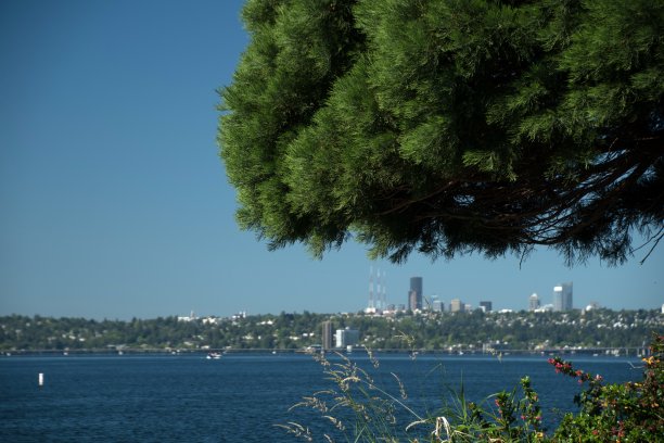 kirkland