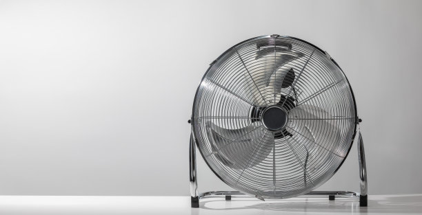 fan