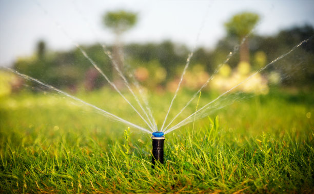irrigation