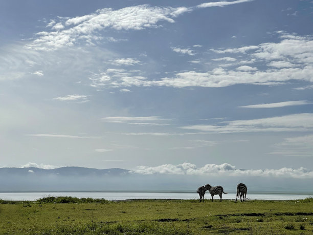 ngorongoro