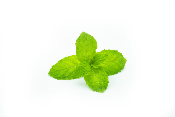 spearmint