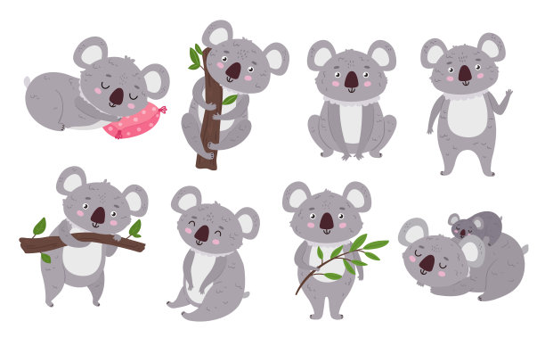 koala