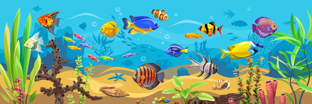 aquarium