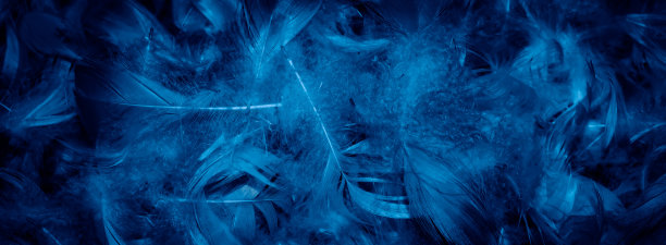plumage