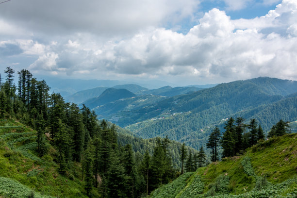 simla