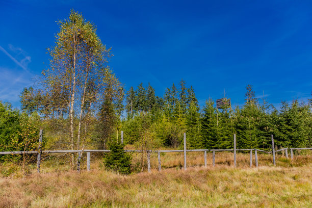 rhön