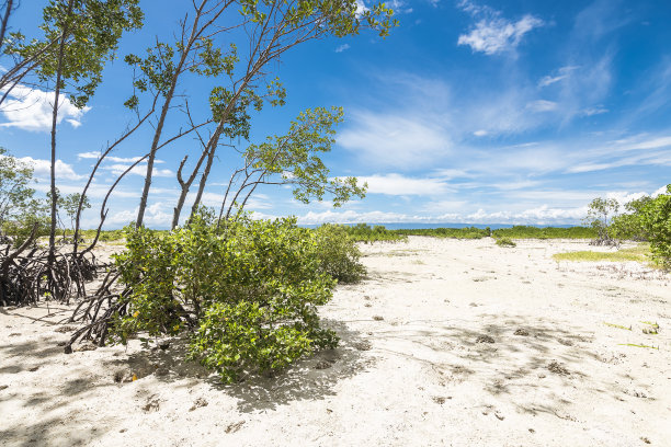 visayas
