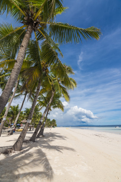 bohol