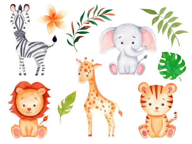zebra