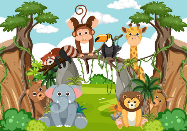 zoo