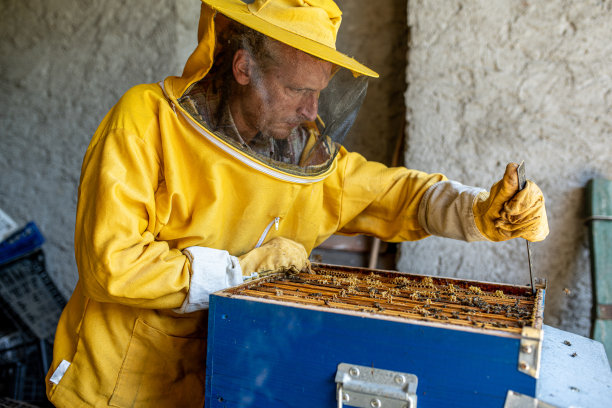 beekeeper