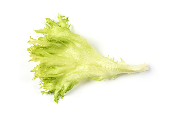 romaine