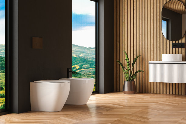 bidet