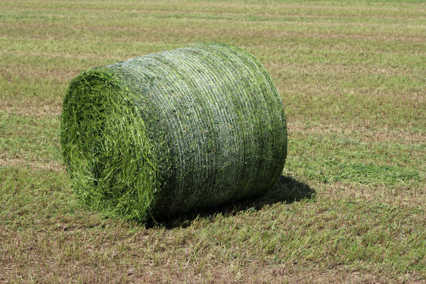 bale