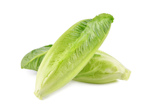 romaine