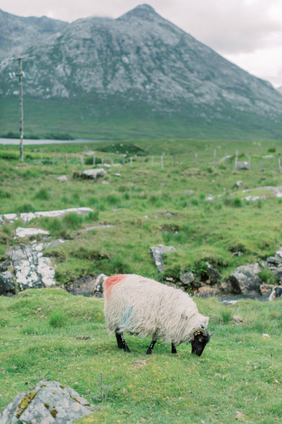 galway