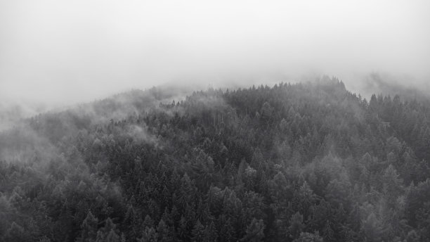 户外蓝天白云草地树林图片