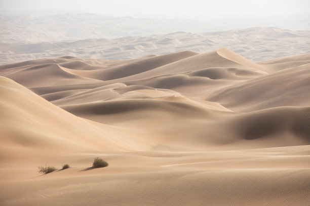 dune