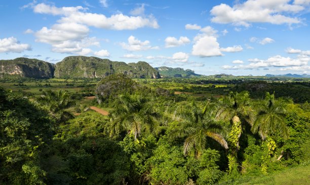户外蓝天白云草地树林图片