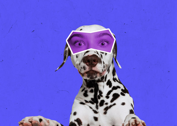 popart