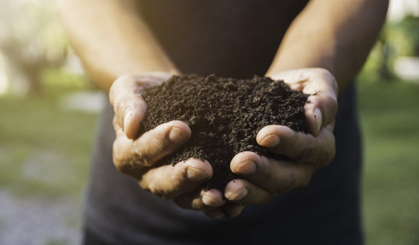 dirt