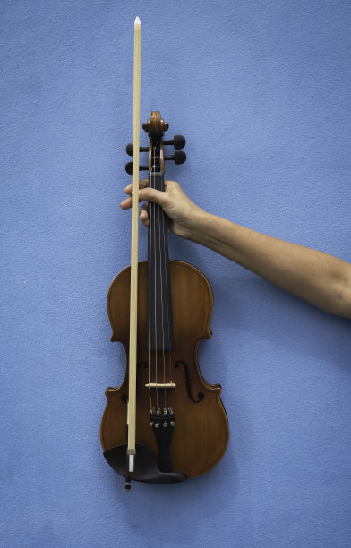 violin